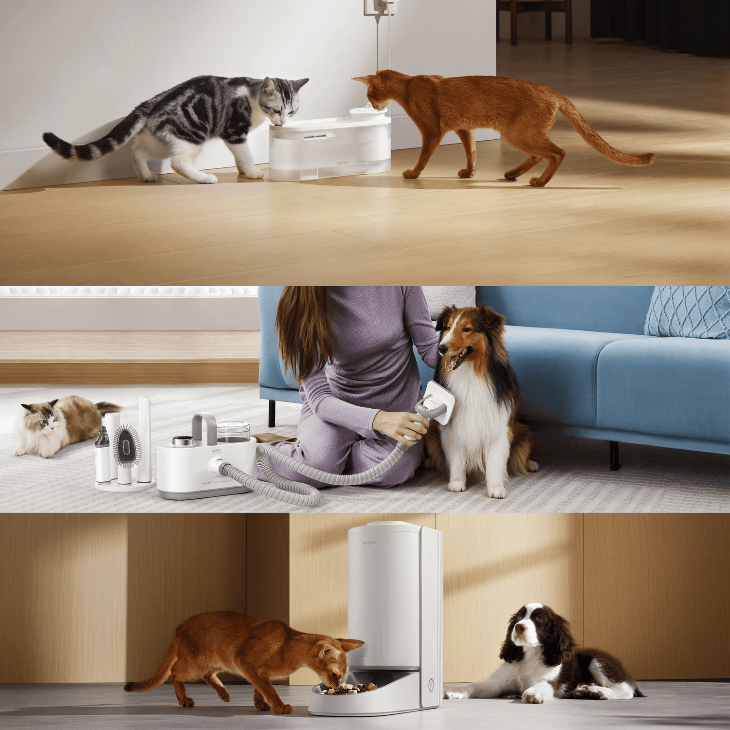 PET